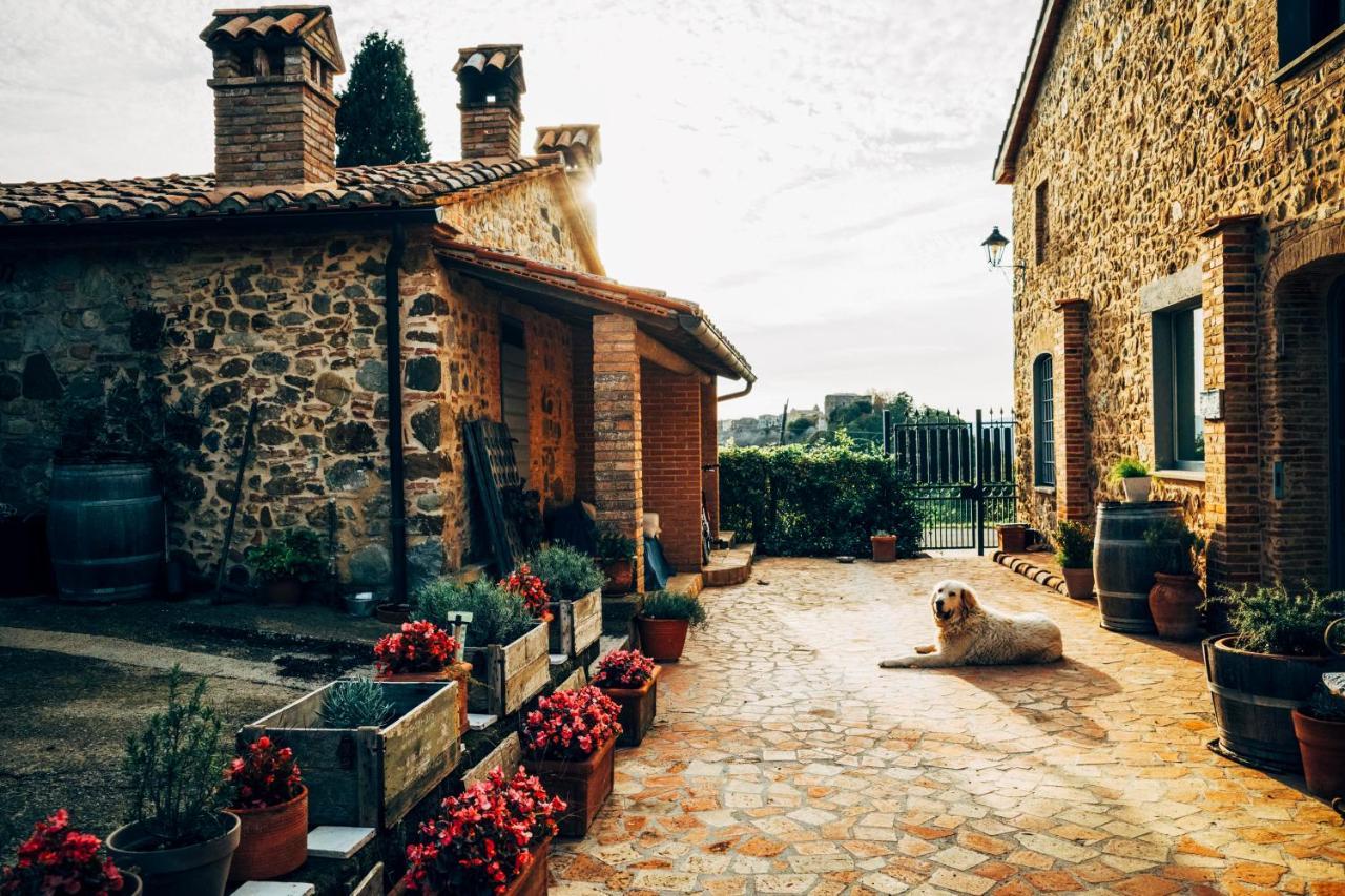 Podere Orto Wine Country House Trevinano Eksteriør billede