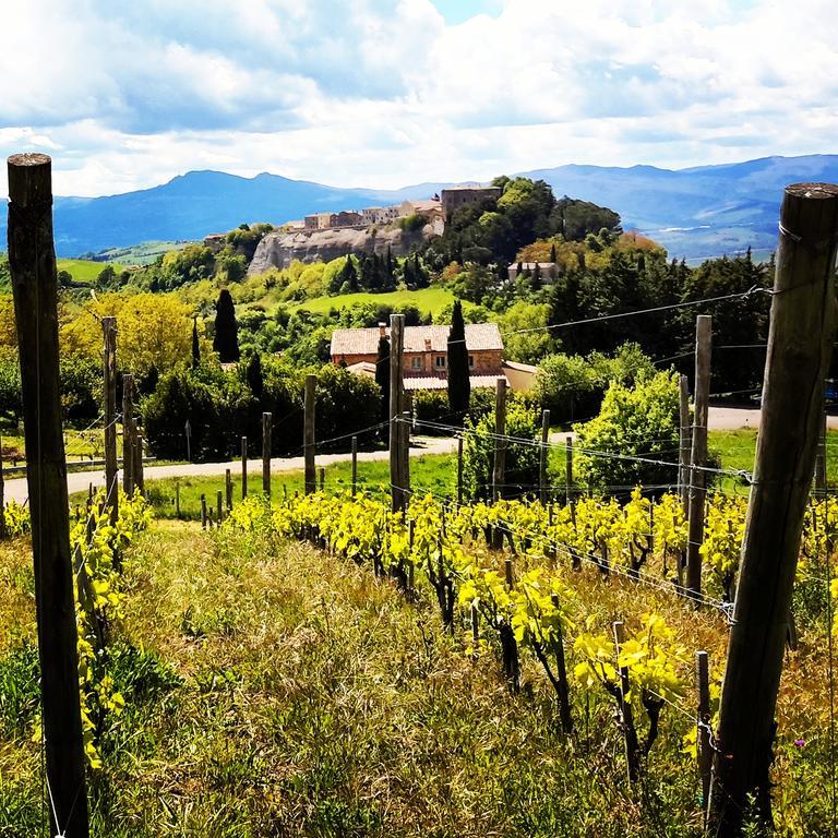 Podere Orto Wine Country House Trevinano Eksteriør billede